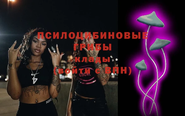 марки lsd Богданович